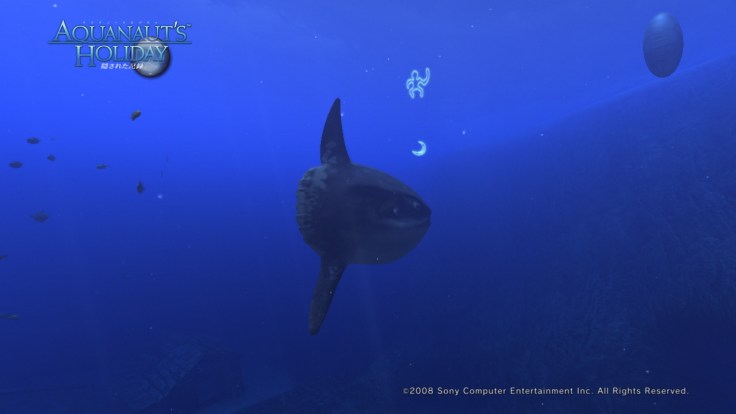 AquaPhoto20E59593E7A4BAE381AEE6B5B7E381ABE381A6E692AEE5BDB1