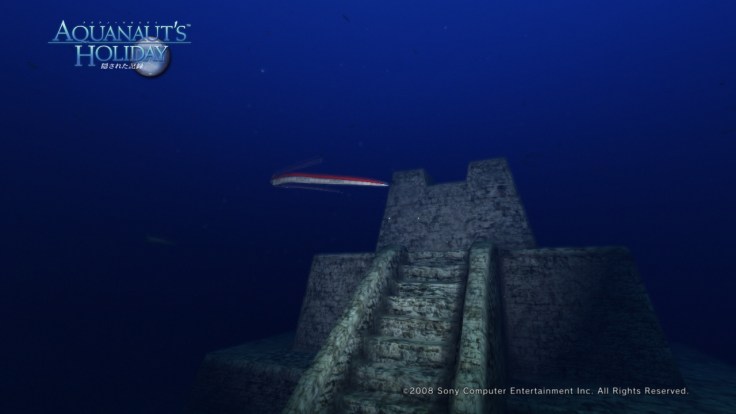 AquaPhoto20E7A588E3828AE381AEE6B5B7E381ABE381A6E692AEE5BDB1_1