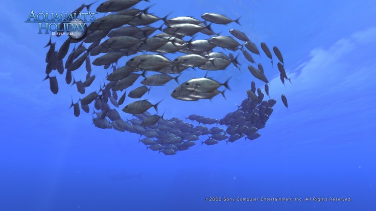 AquaPhoto20E99D99E3818BE381AEE6B5B7E381ABE381A6E692AEE5BDB1